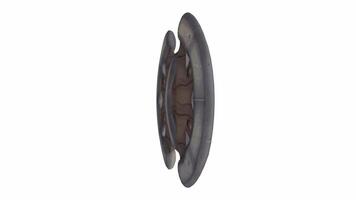 3D rendering of a stylized shield with a skull design and spikes video