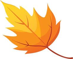 Yellow autumn leaf falling, an illustration with a bright and vibrant look vector