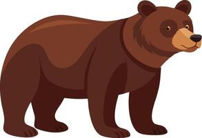 Brown bear standing in a side view, illustrated in a simple cartoon style vector