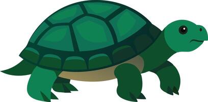 Cartoon green turtle with a detailed shell, illustrated in a cute and simple style vector