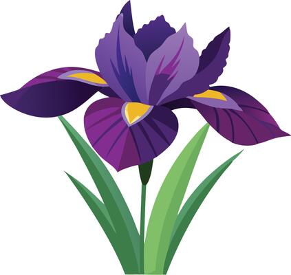 Purple iris flower with green leaves, illustrated in a simple and elegant cartoon style