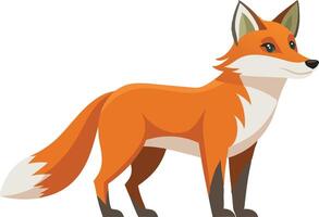 Fox standing in a side view, illustrated in a simple and natural cartoon style vector