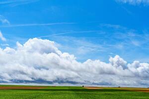 A stunning countryside landscape featuring a clear blue sky with fluffy clouds and vibrant green fields. A lone tree stands in the midst, creating a peaceful and serene atmosphere. photo