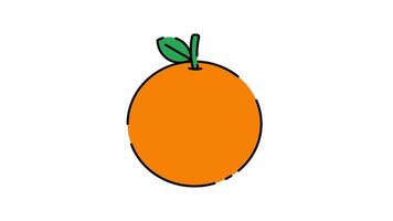 Orange Fruit Motion Graphic, Animated Alpha channel, transparent background. 4K resolution loop animation. video