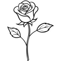 A rose is drawn in black and white on a white background vector