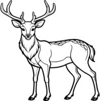a perfect deer image in white background, illustration line art vector