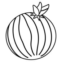 a coloring page of an food zebratomato with no color just black lines, illustration line art vector