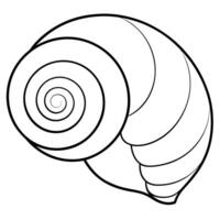 beautiful vertical spiral shell, illustration line art vector