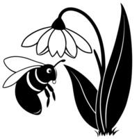 a bee is extracting honey from a snowdrop flower, illustration line art vector