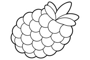 a coloring page of an food raspberry with no color just black lines, illustration line art vector