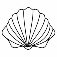 single seashell, illustration line art vector
