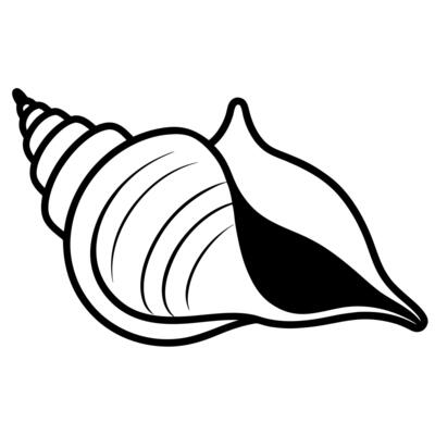3d rendering of dynamic conch with silhouette beautiful line art, illustration line art