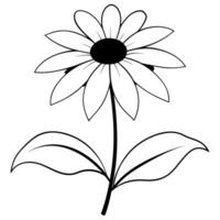 a rudbeckia with two leaves, illustration line art vector