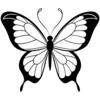 black butterfly, illustration line art vector
