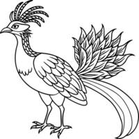 A bird with long feathers and a long tail coloring page vector