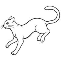 A cat running on a white background vector