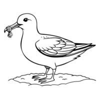 A seagull with a fish in its beak coloring page vector