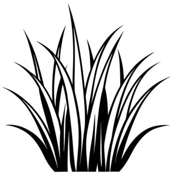 3d rendering of dynamic grass silhouette line art, illustration line art vector