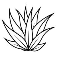 3d rendering of dynamic aloe vera with silhouette beautiful line art, illustration line art vector