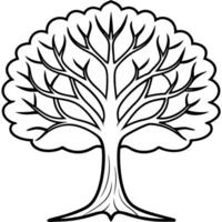 tree of life, illustration line art vector
