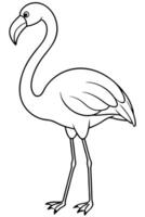 flamingo bird, kids colouring page, different pose, illustration line art vector