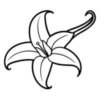 a simple single-line art drawing of a beautiful vanilla image color black white, vector