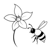 a bee is extracting honey from a stephanotis flower, illustration line art vector