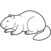 beaver lying down the beaver lies on its side or stomach, usually to rest or sleep, often in vector