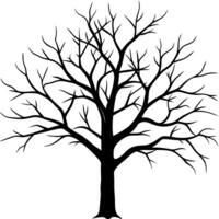 a tree without leaves against a white backdrop, creating a stark contrast, a dead tree for vector