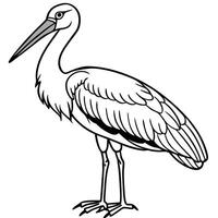 stork design, withe outline , black background, illustration line art vector