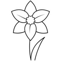 an image of daffodil silhouette with a white background, illustration line art vector