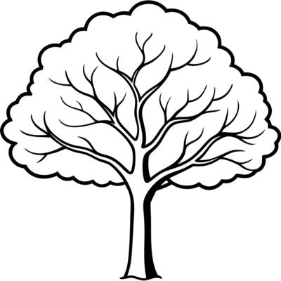 mahogany tree, illustration line art