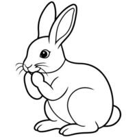 rabbit grooming the rabbit sits while using its front paws to clean its face or ears, often vector