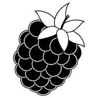 3d rendering of dynamic blackberry with silhouette beautiful line art, illustration line art vector