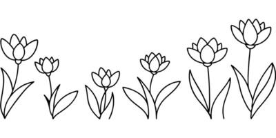 a row of wildflowers in a line looking forward all sizes, illustration line art vector