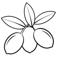 3d-rendering-of-dynamic-olives-with-white-background, illustration line art vector