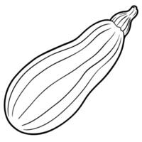 a coloring page of an food zucchini with no color just black lines, illustration line art vector