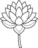 a coloring page of an sedum flower with no color just black lines, illustration line art vector