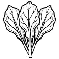 a clean and minimalistic illustration of spinach on a white background the spinach leaves vector