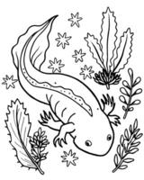 axolotl and ocean plants with ocean elements, illustration line art vector