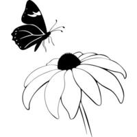a butterfly is extracting nectar from a rudbeckia flower, illustration line art vector
