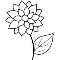 dahlia flower with leaf and stem, illustration line art vector