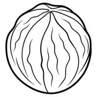 3d rendering of dynamic walnut silhouette beautiful line art, illustration line art vector
