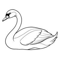 a swan bird is lying down, illustration line art vector
