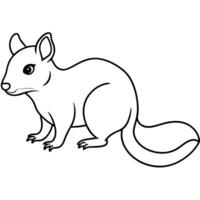 a simple single-line art drawing of a beautiful white background white quoll, illustration vector