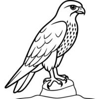 hawk perched the hawk sits or stands on a branch, rock, or other elevated surface, with its vector