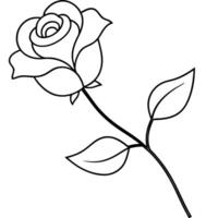rose with branch, illustration line art vector