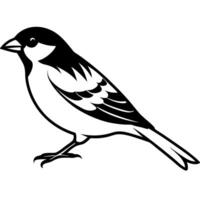 a common sparrow with flying silhouette style with white background, illustration vector
