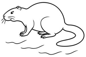 beaver tail slapping the beaver slaps its tail on the water as a warning signal, often in an vector