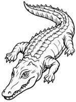 a crocodile swimming in the water, depicted with bold, clear lines, showing its scales in an vector